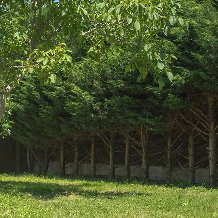 Дом отдыха Maison 6 Personnes - Jardin Et Piscine Privee Мулен