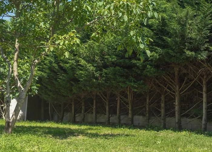 Дом отдыха Maison 6 Personnes - Jardin Et Piscine Privee Мулен